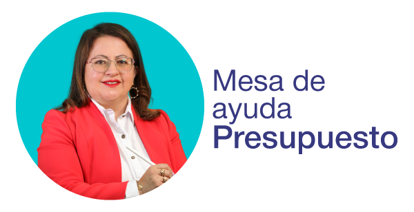 Mesa de ayuda Presupuesto