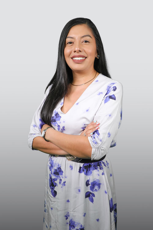 decana ingenieria ambiental santoto 2025